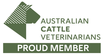 Australian Cattle Veterinarians Member logo
